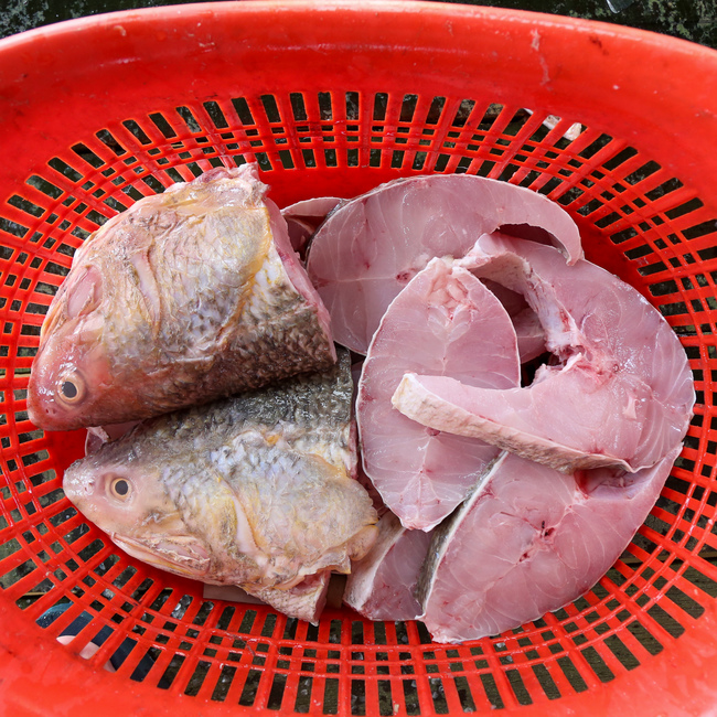 顺丰鱼 Indian Threadfin Ikan Kurau Ys Seafood 渔乡鲜货 · 直送到府